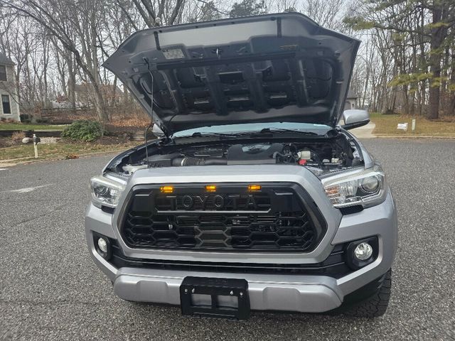2020 Toyota Tacoma 4WD TRD Sport Double Cab 6' Bed V6 AT (Natl) - 22959381 - 19