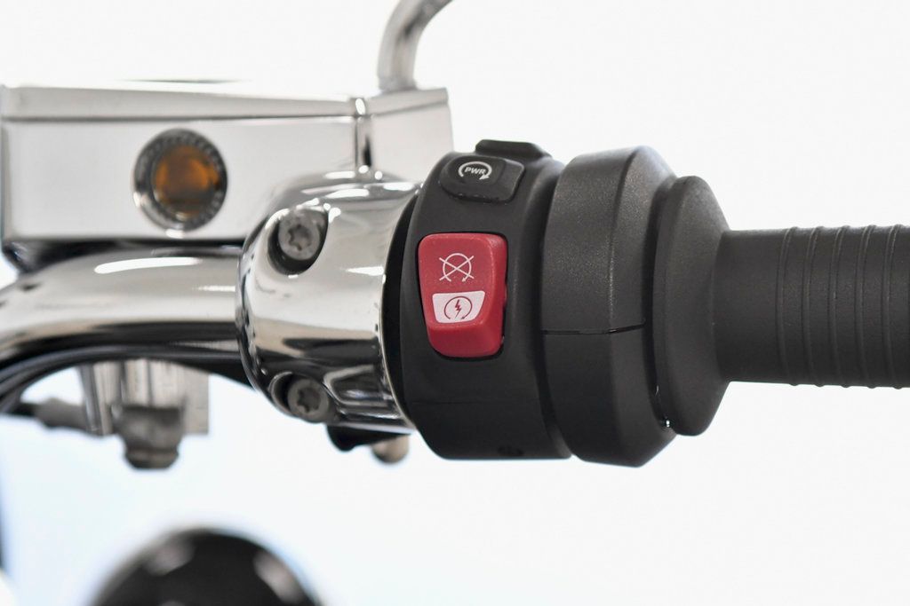 2021 BMW R18 Classic First Edition  - 22365750 - 17