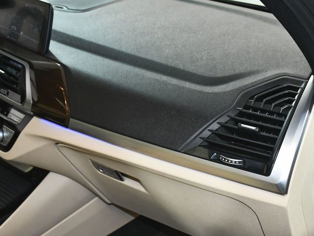 2021 BMW X3 xDrive30i - 22993516 - 62
