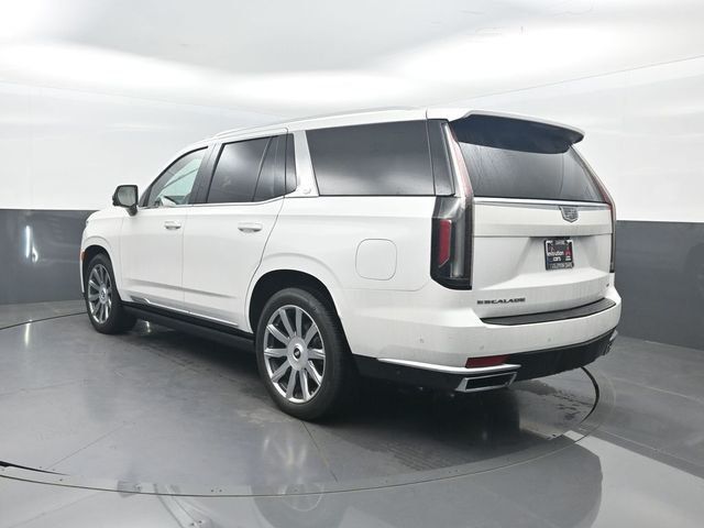 2021 Cadillac Escalade 2WD 4dr Premium Luxury Platinum - 23046114 - 34