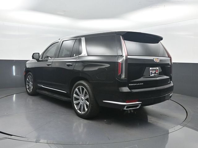 2021 Cadillac Escalade 2WD 4dr Premium Luxury Platinum - 23051438 - 29
