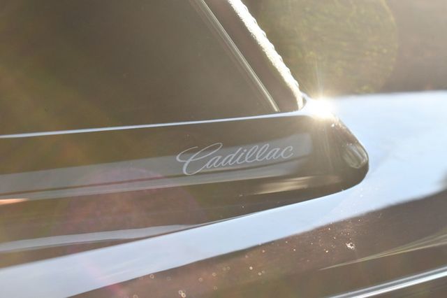 2021 Cadillac Escalade 4WD 4dr Premium Luxury Platinum - 22899224 - 32