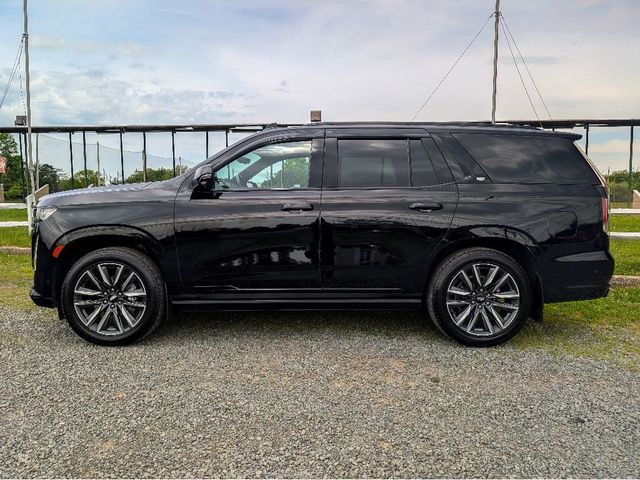 2021 Cadillac Escalade 4WD 4dr Sport - 23078388 - 8