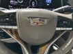 2021 Cadillac Escalade ESV 2WD 4dr Premium Luxury Platinum - 22724263 - 10