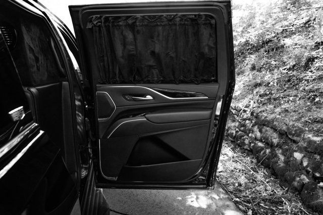 2021 Cadillac Escalade ESV Escalade-ESV-Sport/CEO-Build/40"LCD-FlatScreen/CaptainSeating - 23068320 - 20