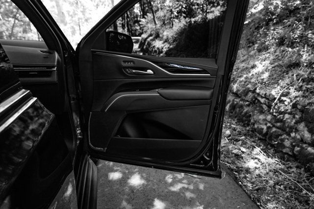 2021 Cadillac Escalade ESV Escalade-ESV-Sport/CEO-Build/40"LCD-FlatScreen/CaptainSeating - 23068320 - 21