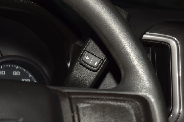 2021 Chevrolet Silverado 1500 Custom Trail Boss - 22916711 - 29