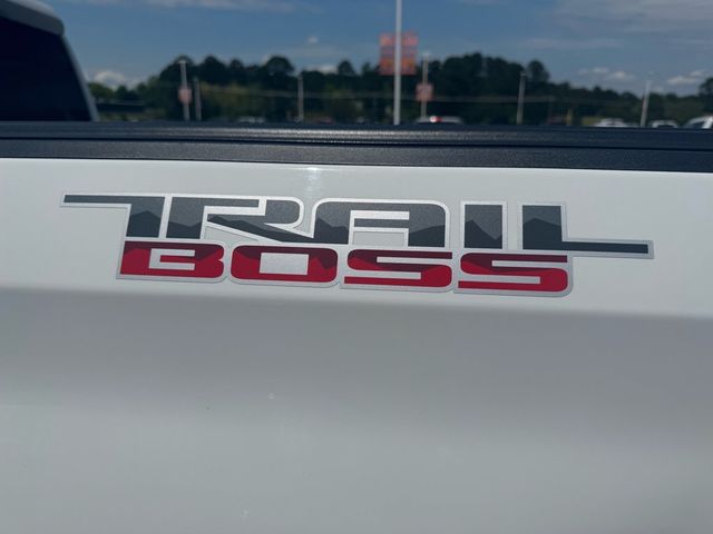 2021 Chevrolet Silverado 1500 LT Trail Boss - 23012745 - 8