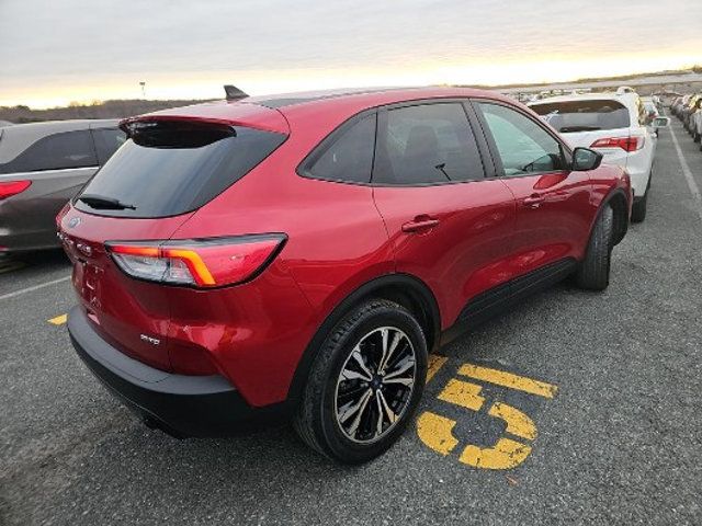 2021 Ford Escape SE AWD - 22961336 - 2