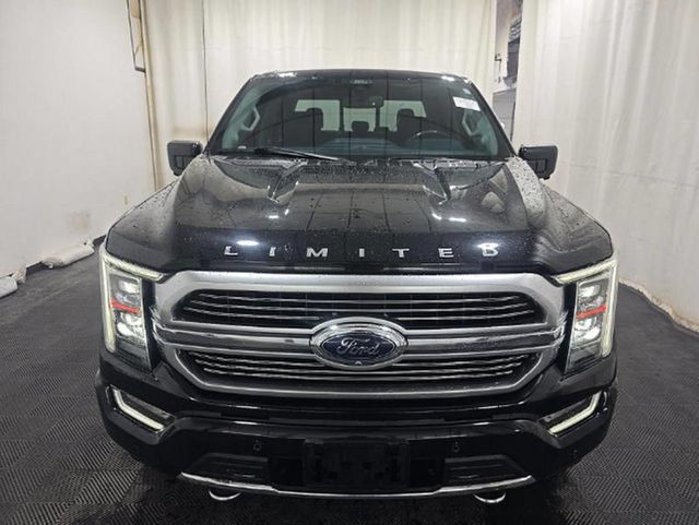 2021 Ford F-150 Limited 4WD SuperCrew 5.5' Box - 23086030 - 2