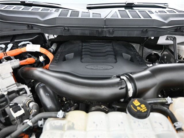 2021 Ford F-150 Limited 4WD SuperCrew 5.5' Box - 22918200 - 30