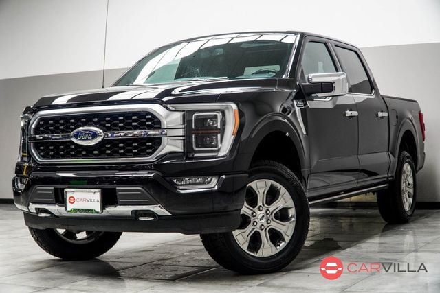 2021 Ford F-150 Platinum - 22920207 - 0
