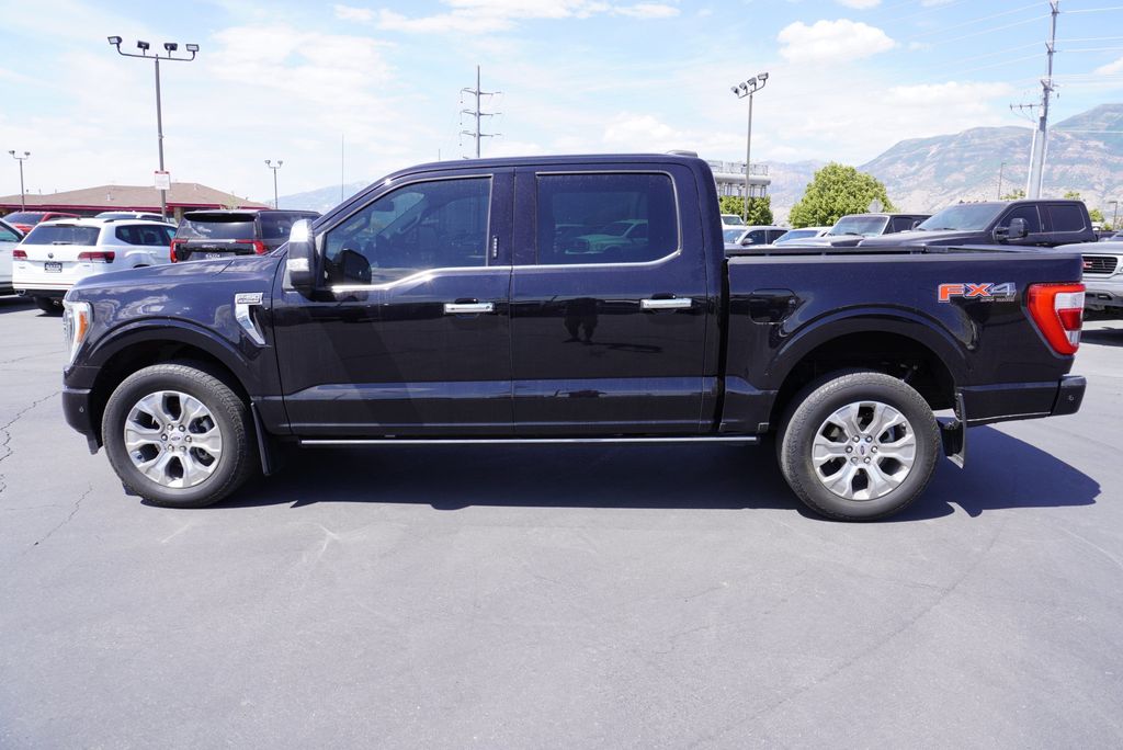 2021 Ford F-150 Platinum FX4 photo 2
