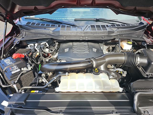 2021 Ford F-150 XLT - 22992088 - 21