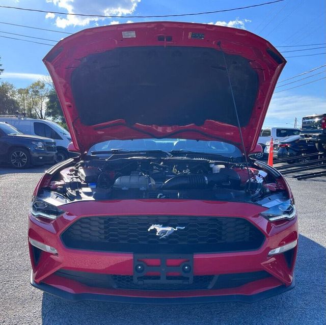 2021 Ford Mustang EcoBoost Fastback - 22949082 - 19