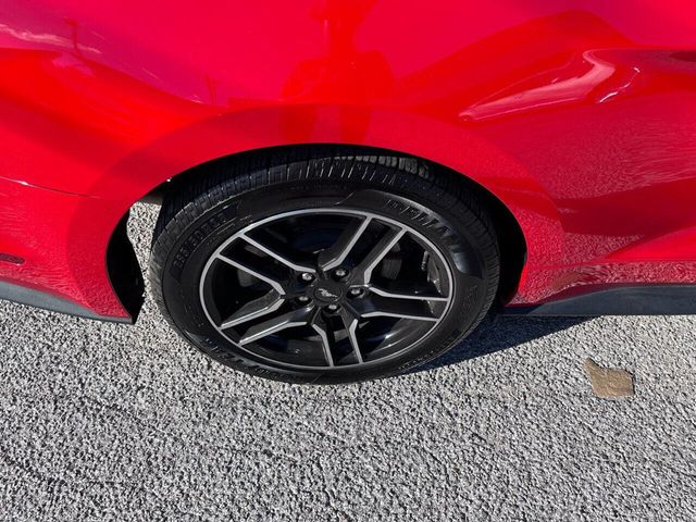 2021 Ford Mustang EcoBoost Fastback - 22949082 - 23