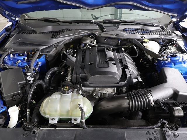 2021 Ford Mustang EcoBoost Fastback - 22950442 - 16