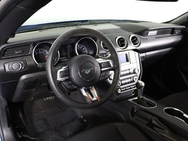 2021 Ford Mustang EcoBoost Fastback - 22950442 - 20