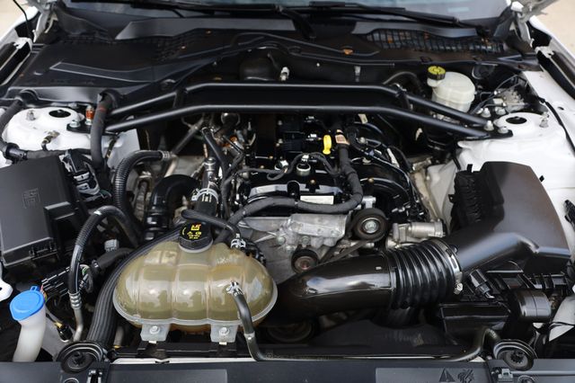 2021 Ford Mustang EcoBoost Fastback - 22903045 - 10