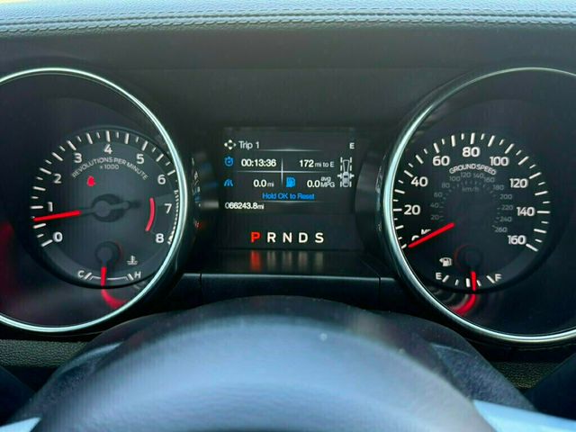 2021 Ford Mustang EcoBoost Fastback - 23025059 - 30