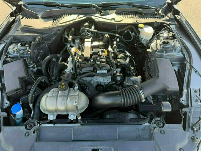 2021 Ford Mustang EcoBoost Fastback - 23025059 - 45
