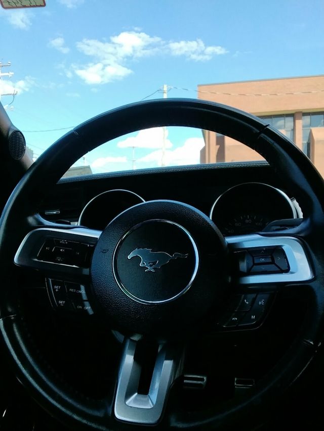 2021 Ford Mustang EcoBoost Premium Convertible - 23078928 - 15