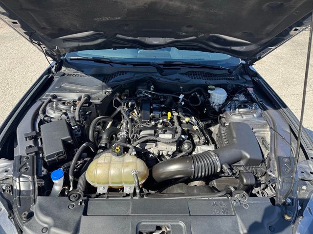 2021 Ford Mustang EcoBoost Premium Fastback - 22795147 - 19