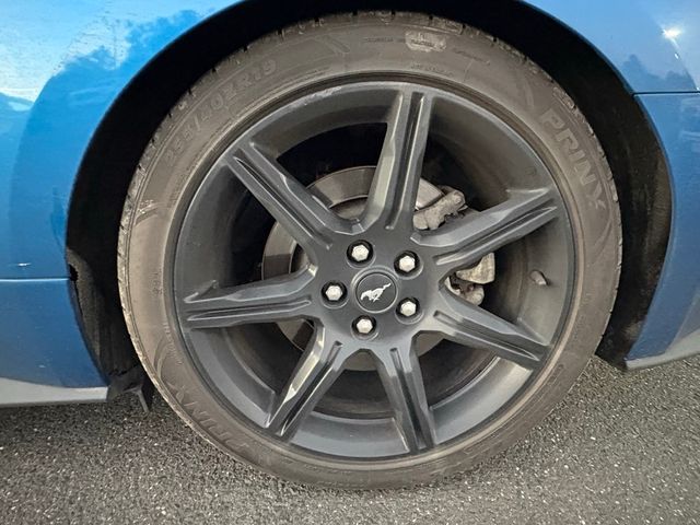 2021 Ford Mustang GT Premium Fastback - 22927326 - 14