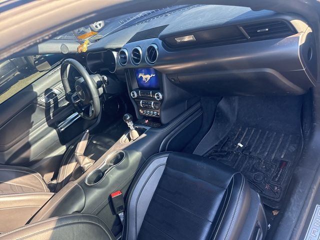 2021 Ford Mustang GT Premium Fastback - 22927326 - 23