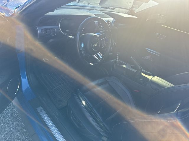 2021 Ford Mustang GT Premium Fastback - 22927326 - 25