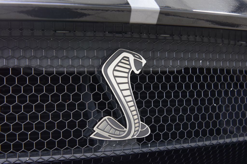 2021 Ford Mustang Shelby GT500 Fastback - 22996946 - 15