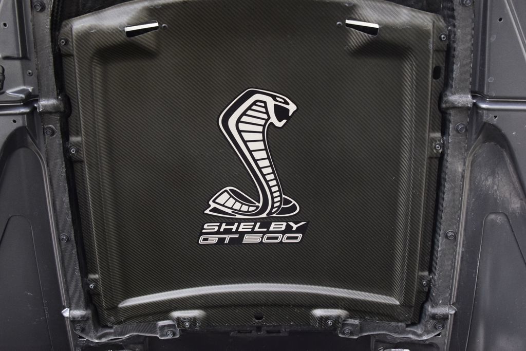 2021 Ford Mustang Shelby GT500 Fastback - 22996946 - 33