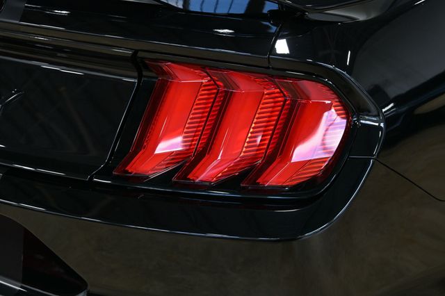 2021 Ford Mustang Shelby Super Snake Speedster - 23015746 - 19