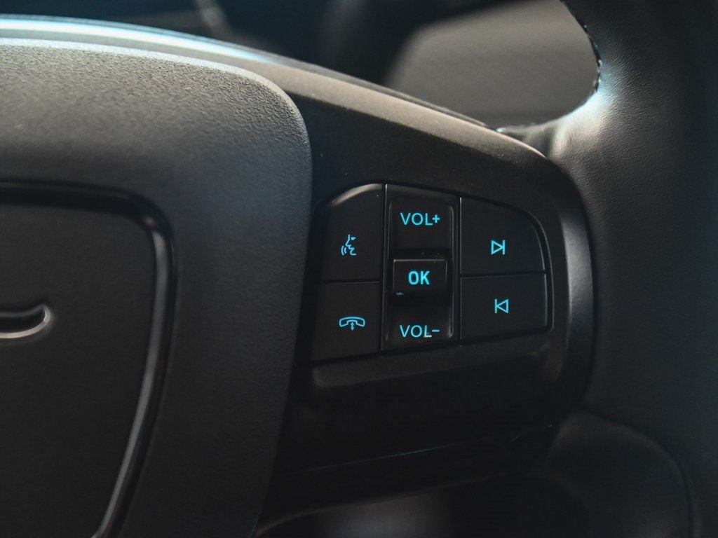 2021 Ford Mustang Mach-E Premium photo 24