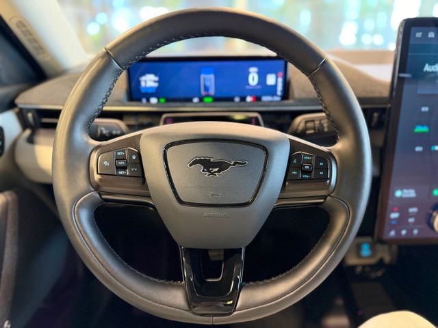 2021 Ford Mustang Mach-E Premium AWD - 23032618 - 24