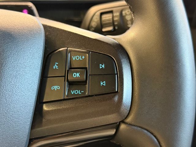 2021 Ford Mustang Mach-E Premium AWD - 23032618 - 26