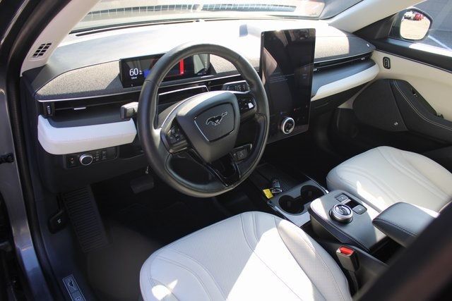 2021 Ford Mustang Mach-E Premium photo 14