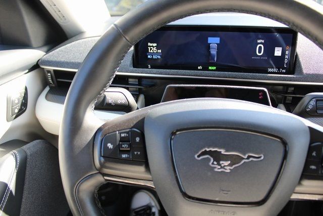 2021 Ford Mustang Mach-E Premium photo 15
