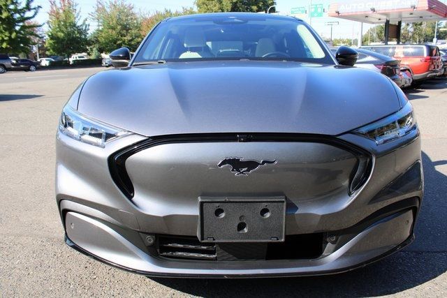 2021 Ford Mustang Mach-E Premium photo 8