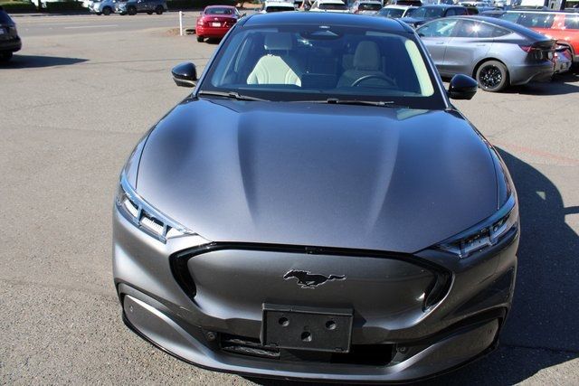 2021 Ford Mustang Mach-E Premium photo 9