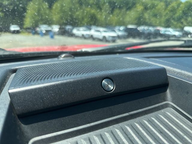 2021 Ford Super Duty F-250 SRW Lariat Ultimate FX4 - 23023093 - 31