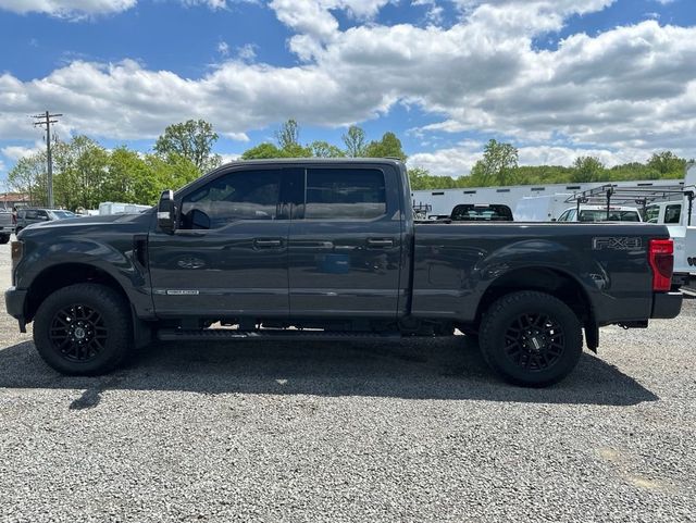 2021 Ford Super Duty F-250 SRW Lariat Ultimate FX4 Black Pack - 23018271 - 9