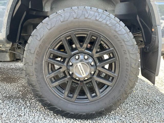 2021 Ford Super Duty F-250 SRW Lariat Ultimate FX4 Black Pack - 23018271 - 11