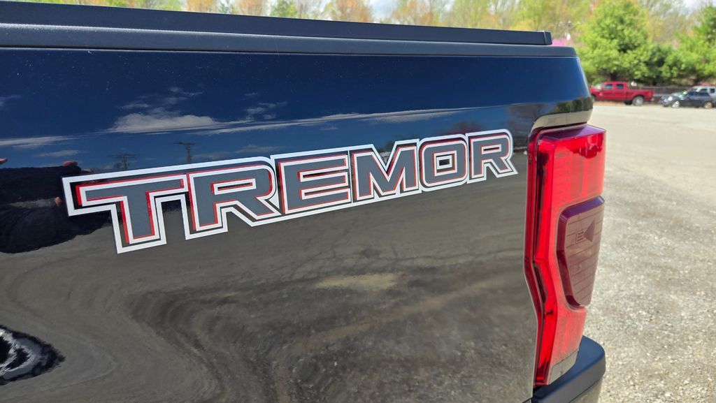 2021 Ford Super Duty F-250 SRW Platinum Tremor - 23007013 - 9