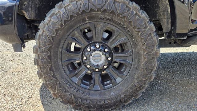 2021 Ford Super Duty F-250 SRW Platinum Tremor - 23007013 - 10