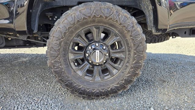 2021 Ford Super Duty F-250 SRW Platinum Tremor - 23007013 - 11