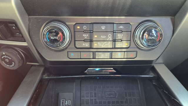 2021 Ford Super Duty F-250 SRW Platinum Tremor - 23007013 - 20