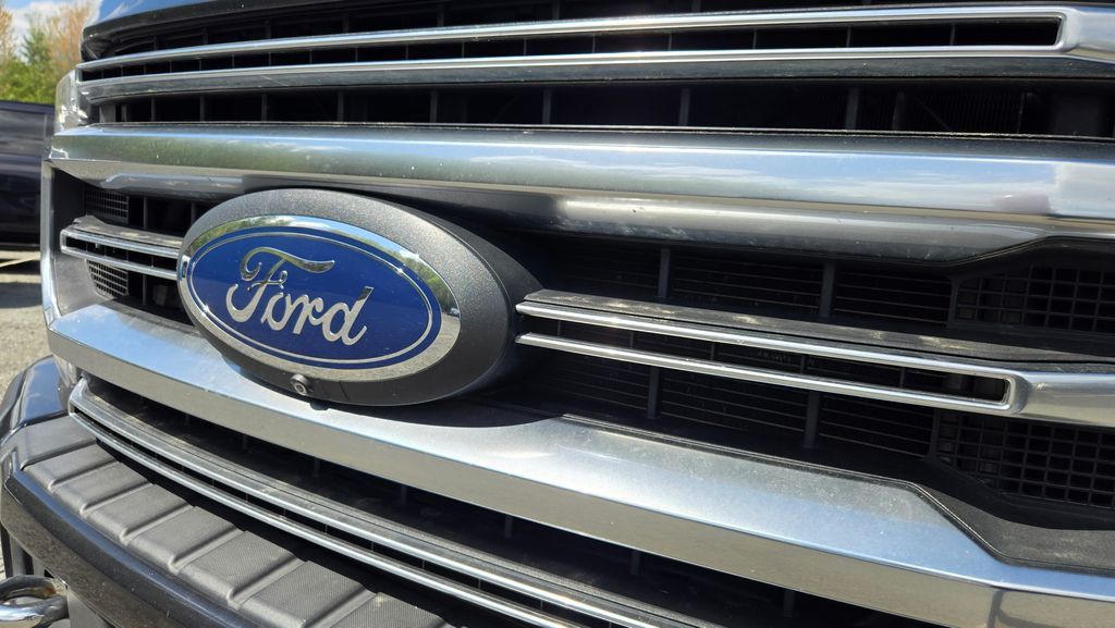 2021 Ford Super Duty F-250 SRW Platinum Tremor - 23007013 - 6