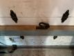 2021 Ford Transit Cutaway T-350 RWD DRW 156" WB 10360 GVWR 1-Ownee - 23064939 - 28