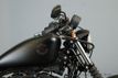 2021 Harley-Davidson Sportster Iron 883 Only 249 Miles! - 22874005 - 7